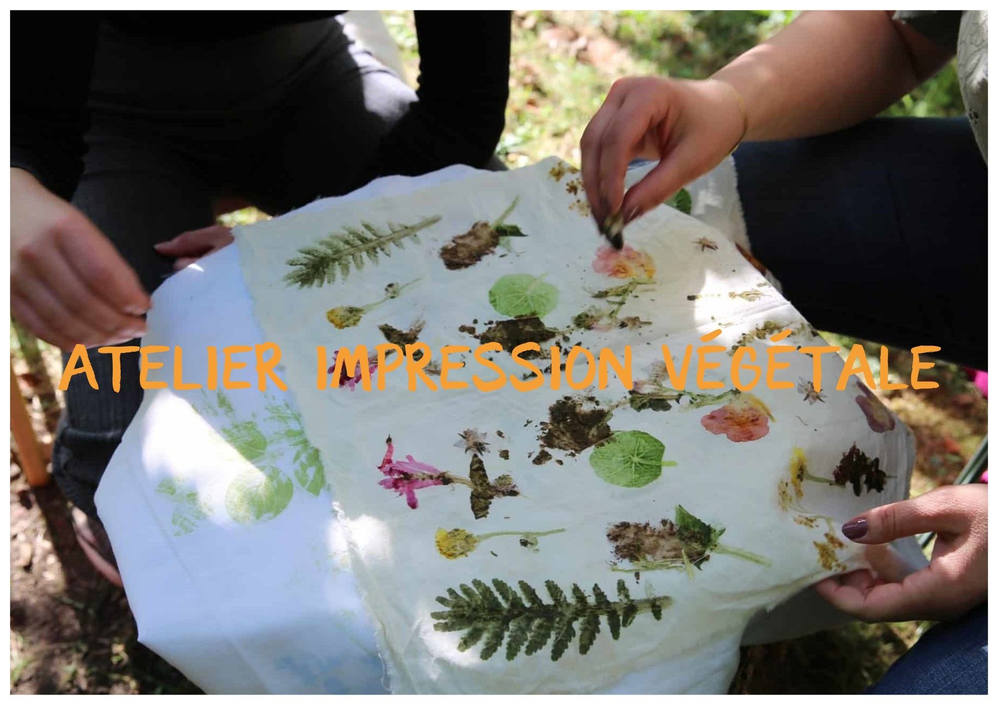 Atelier impression végétale