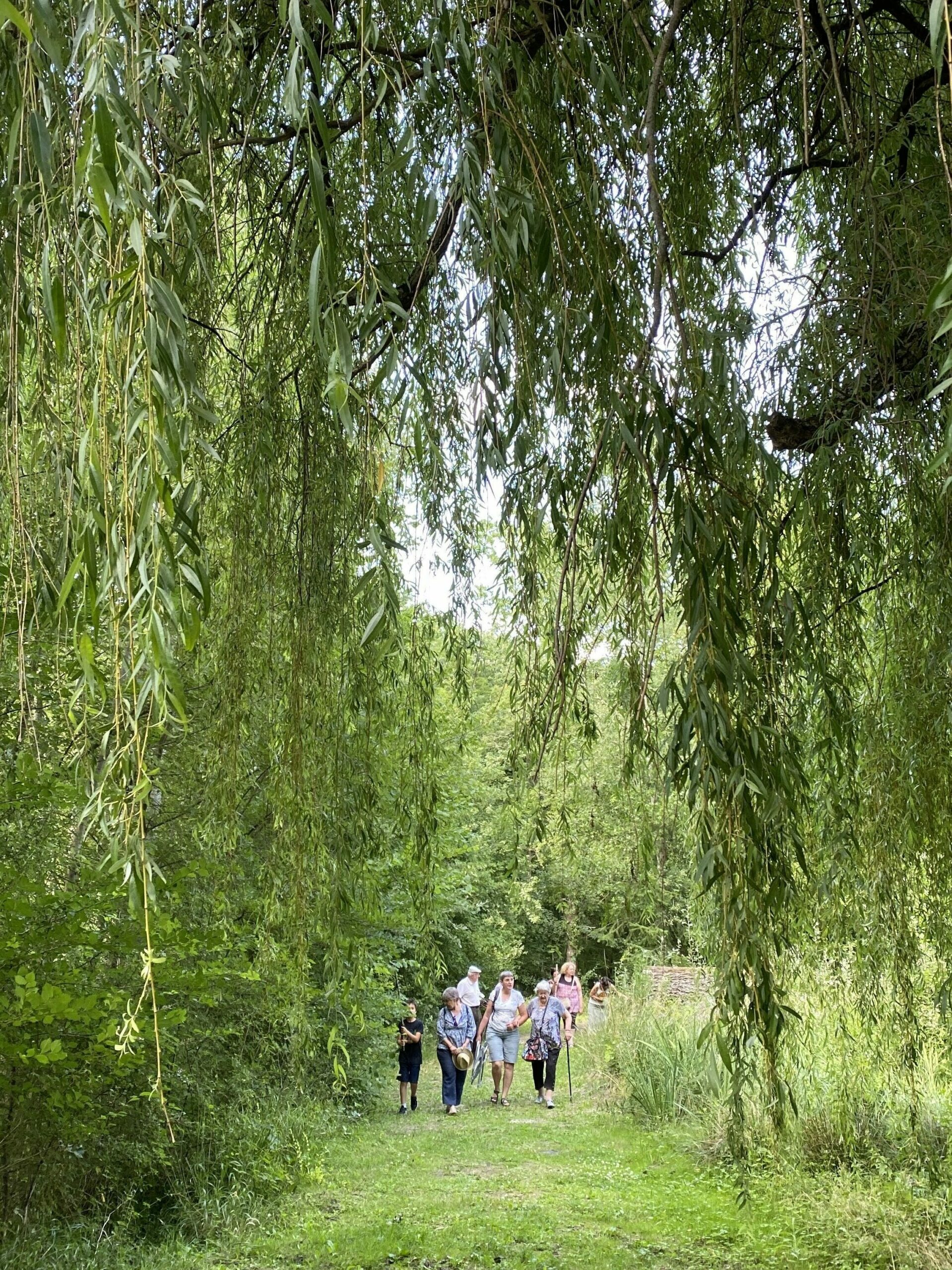 Visiteurs en promenade sur les sentiers forestiers du Domaine de Flotin