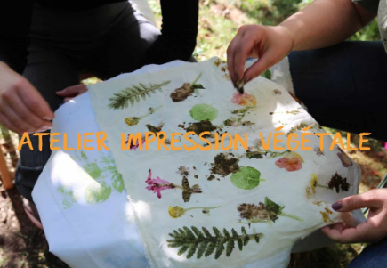 Technique japonaise d’impression végétale tapée sur tissu.