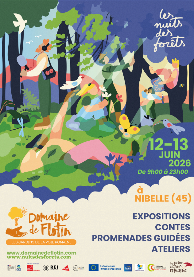Promenades en foret, expositions, ateliers, contes